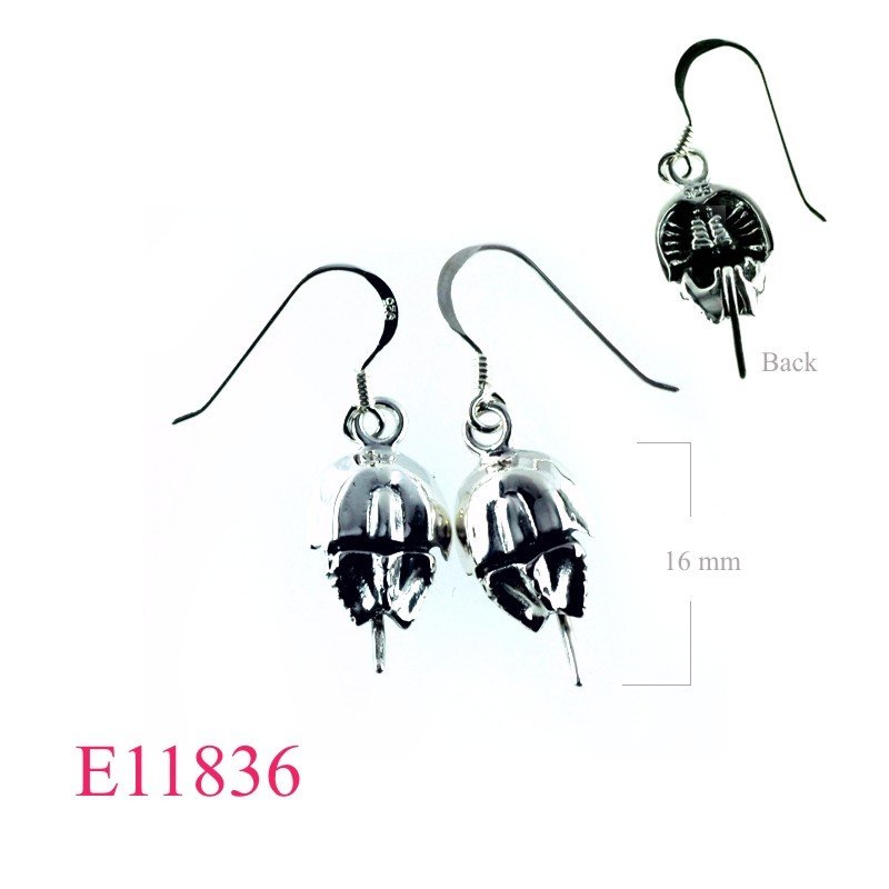 Horse Earrings, Crab Earrings, shoe .