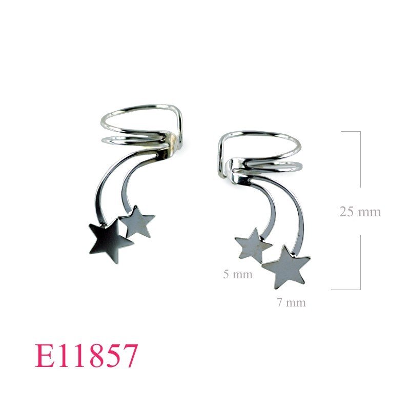 Earrings, 2 stars earcuff.