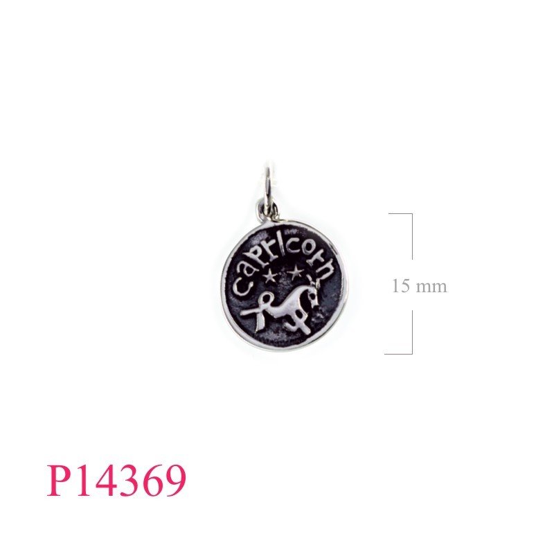 Pendant, Capricorn zodiac round charm.
