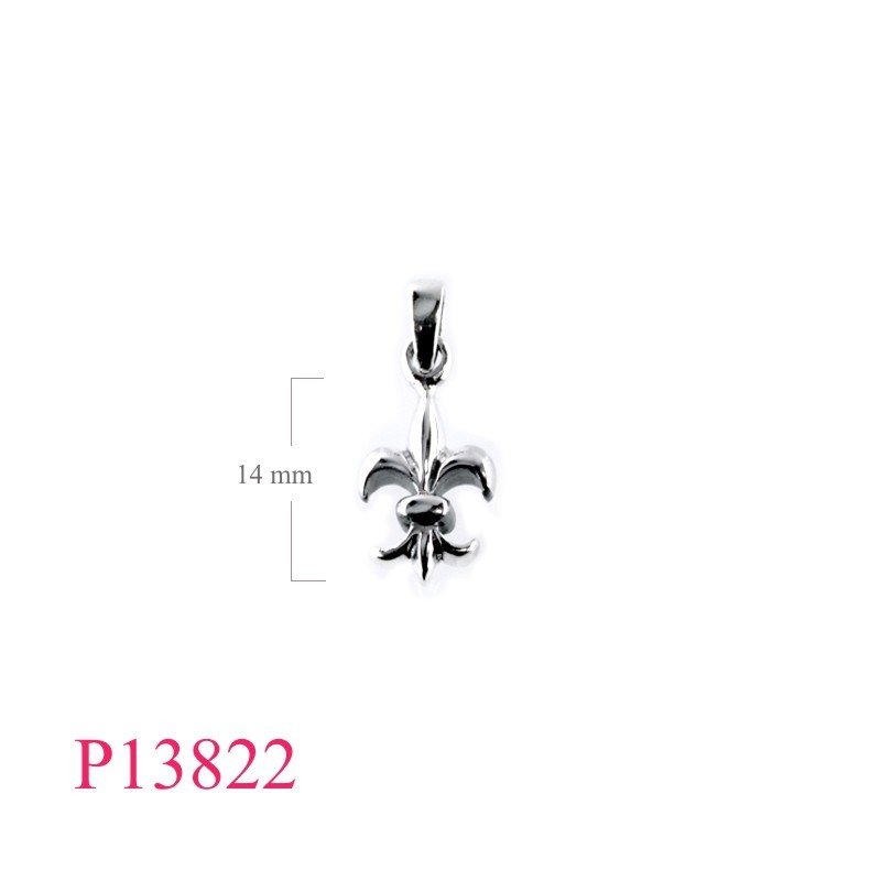 Pendant, 2 sides Fleur de lis.