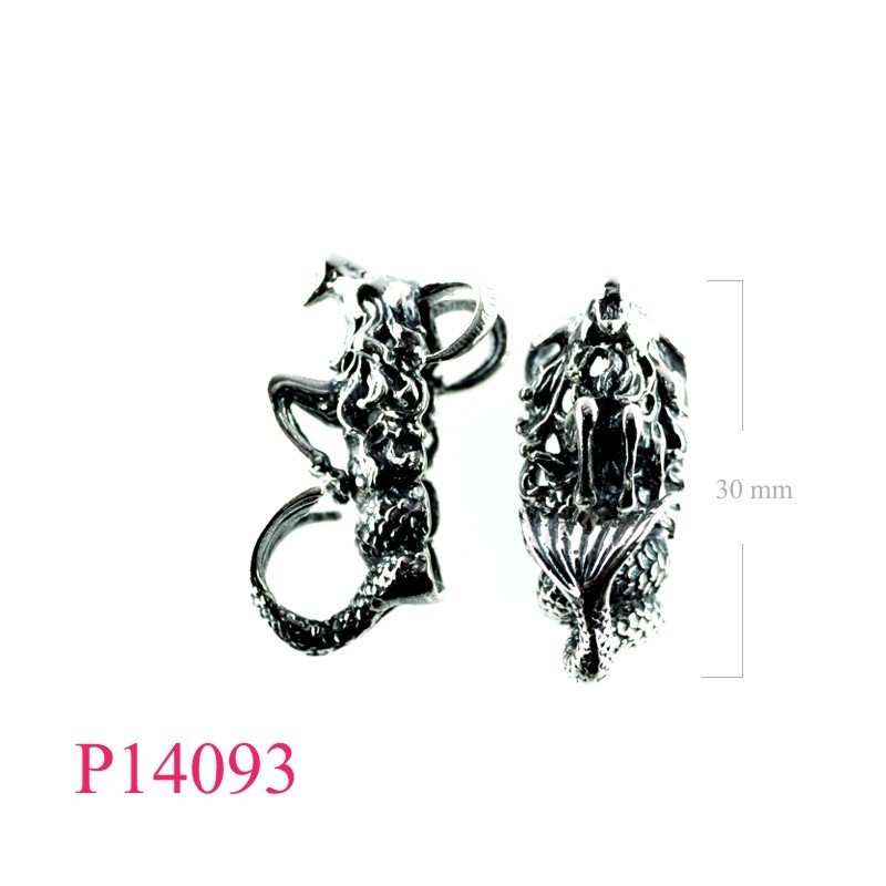 Pendant, Capricorn zodiac.