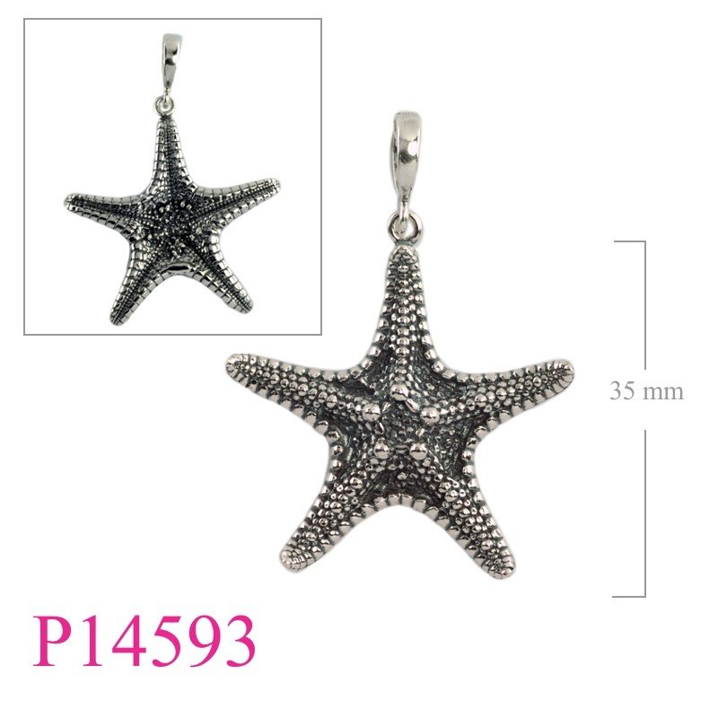 Starfish Pendant, starfish direct from nature collection.