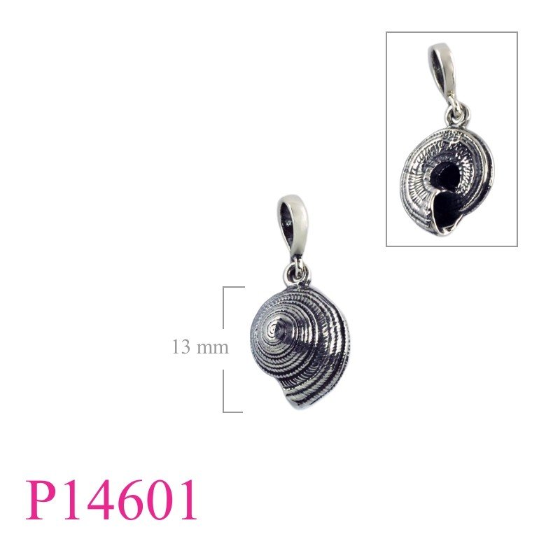 Snail Pendant, Shell Pendant,   direct from nature.