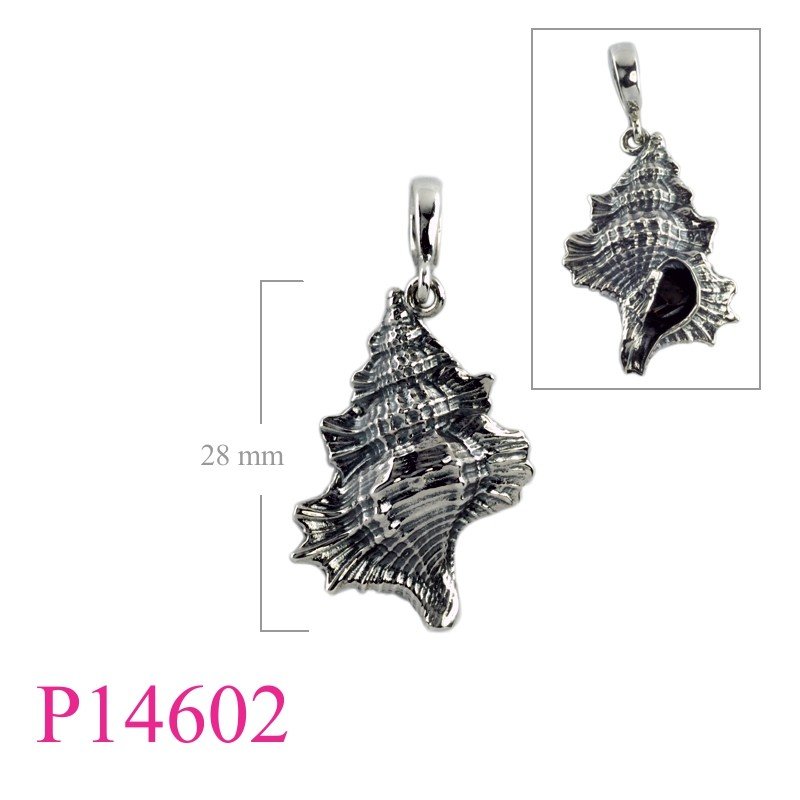 Shell Pendant, Conch Pendant,   direct from nature.
