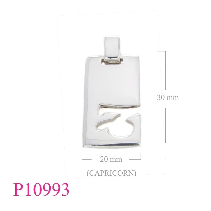 Dog Pendant, Zodiac Pendant, dogtag "CAPRICRON".