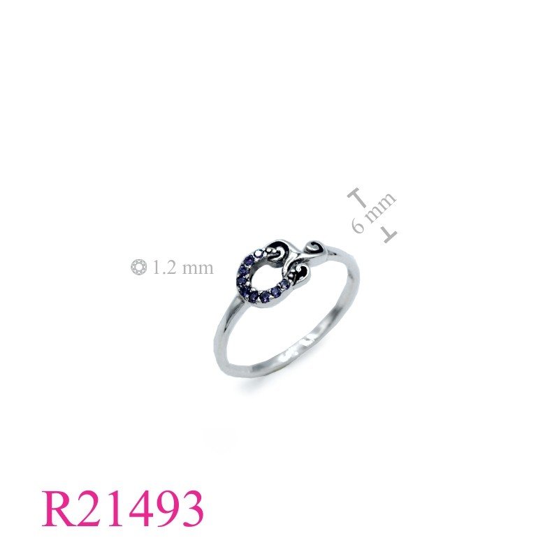 <p>Horseshoe Ring, Triskelion and horseshoe with small Amethyst CZs.</p>