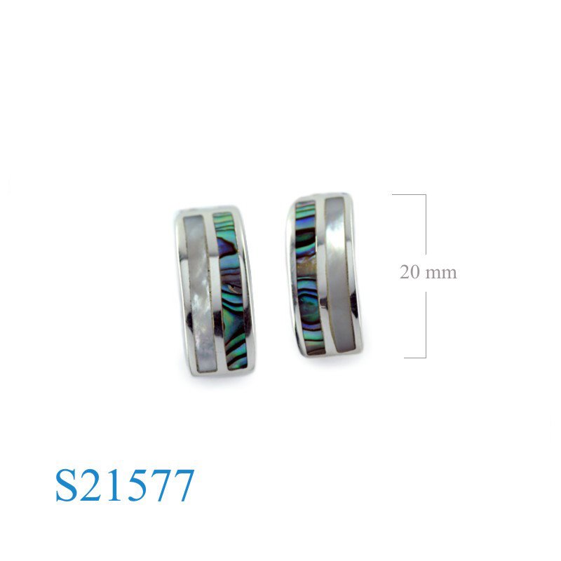 Earrings, curved rectangle.