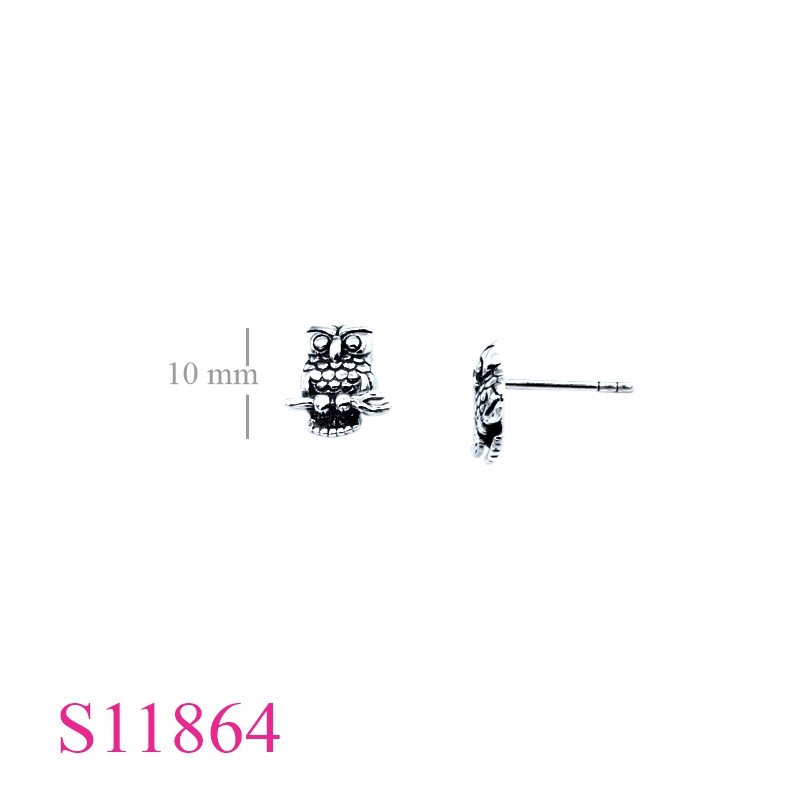 <p>Earrings, owl.</p>