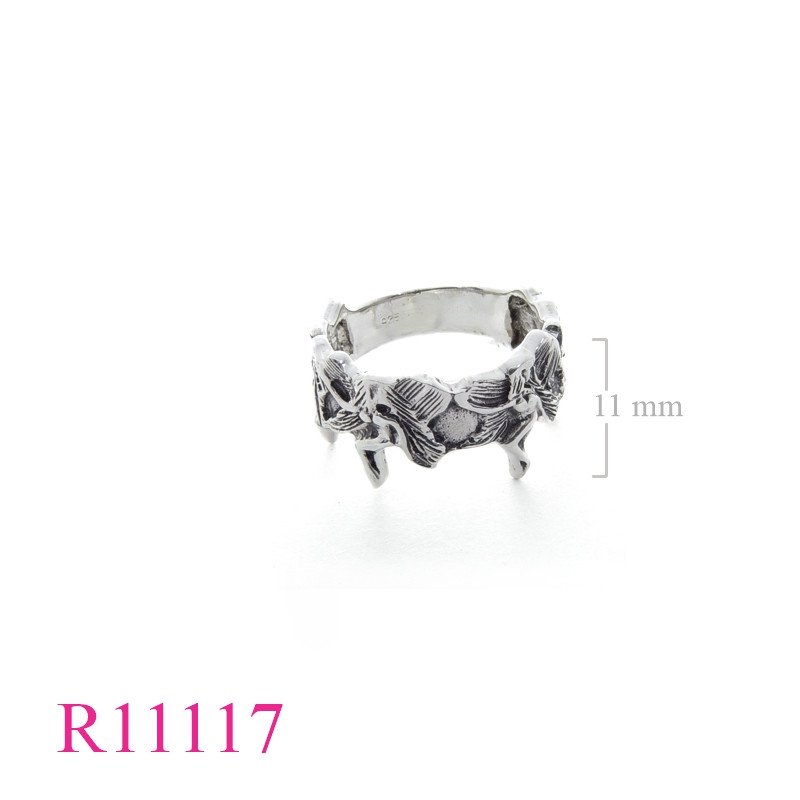 <p>Ring, 4 fairys.</p>