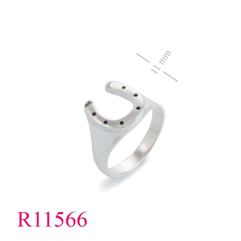 <p>Ring, horse shoes.</p>