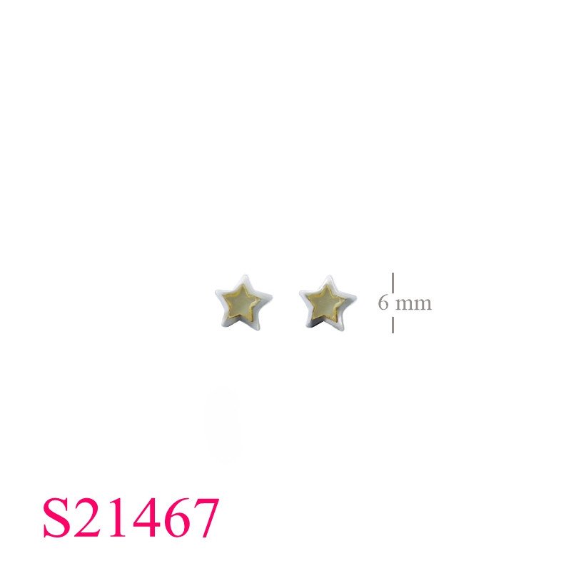 <p>Earrings, 6.5mm star.</p>
