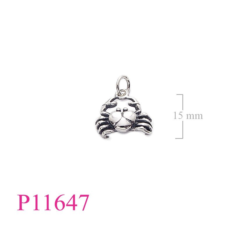 <p>Crab Pendant.</p>