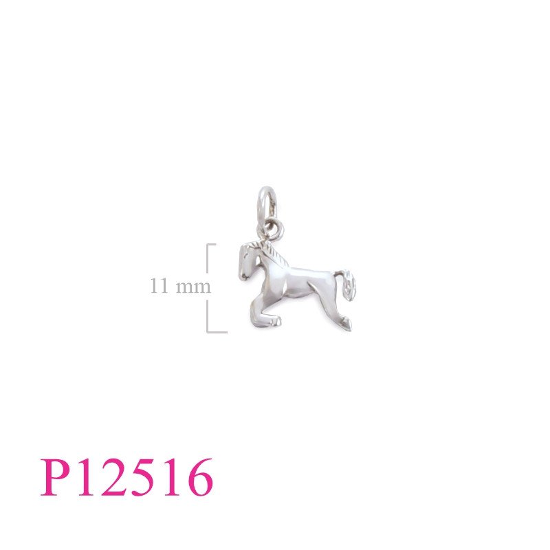 <p>Pendant, pony.</p>