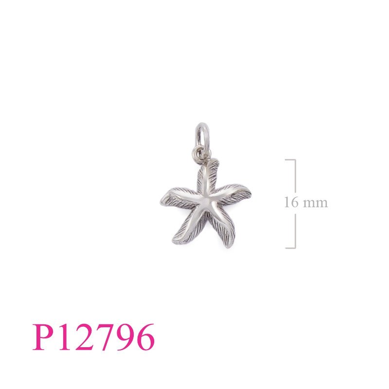 <p>Starfish Pendant.</p>