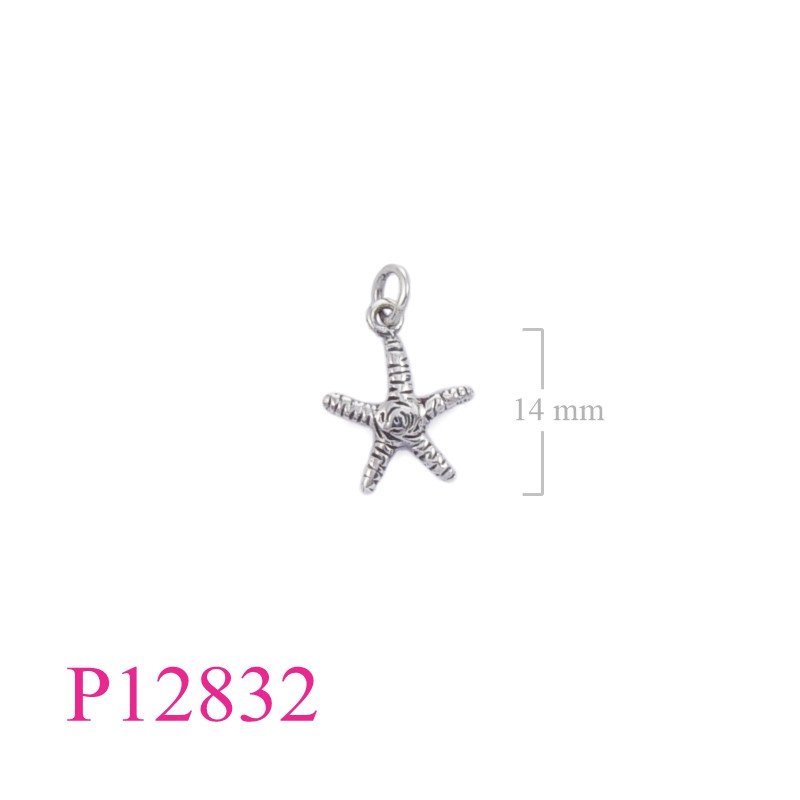 <p>Starfish Pendant.</p>