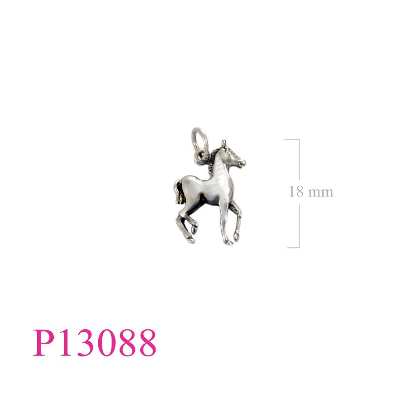 <p>Pendant, pony.</p>