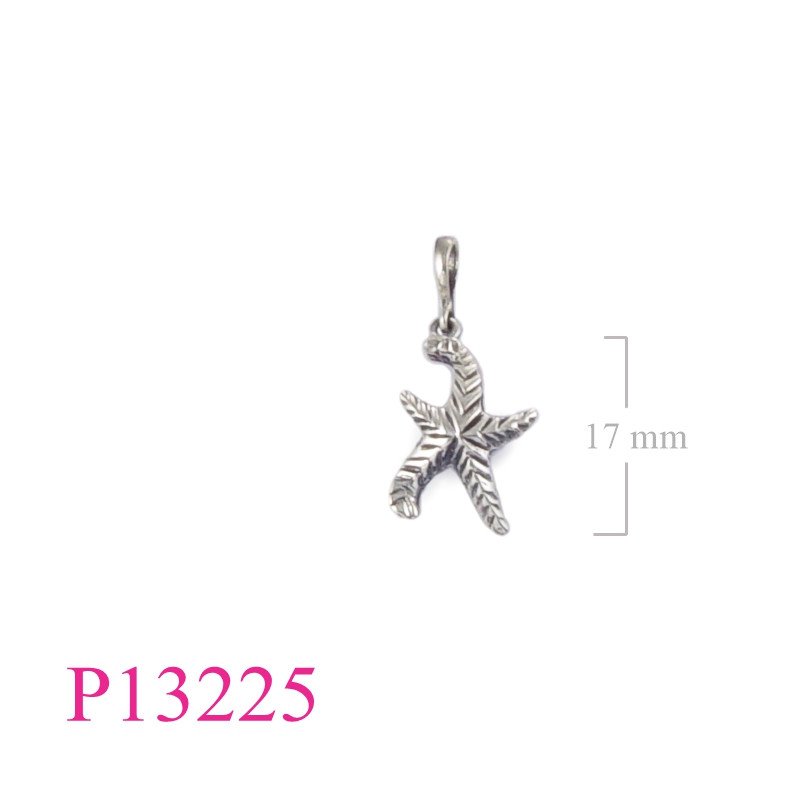 <p>Starfish Pendant.</p>