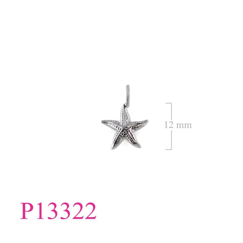 <p>Starfish Pendant.</p>