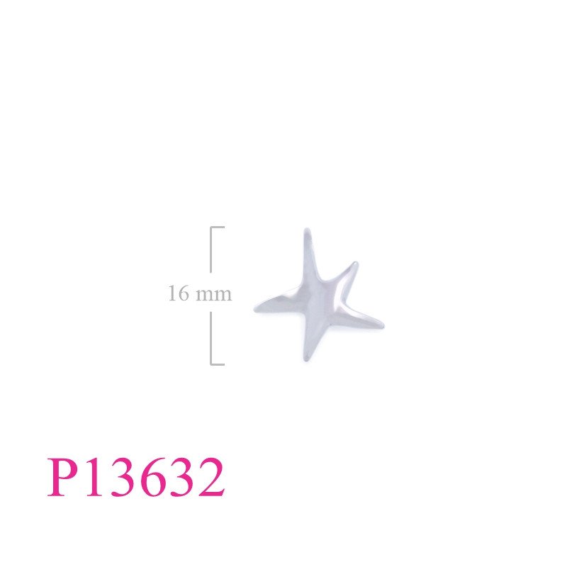 <p>Starfish Pendant.</p>