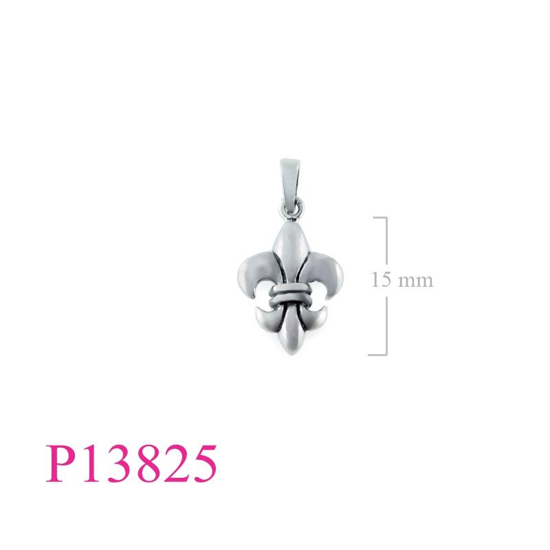 <p>Pendant, 2 sides Fleur de lis.</p>
