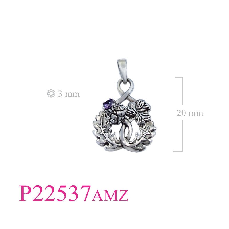 <p>Thistle Pendant, Thistle and Shamrock design with Amethyst CZ round stone.</p>