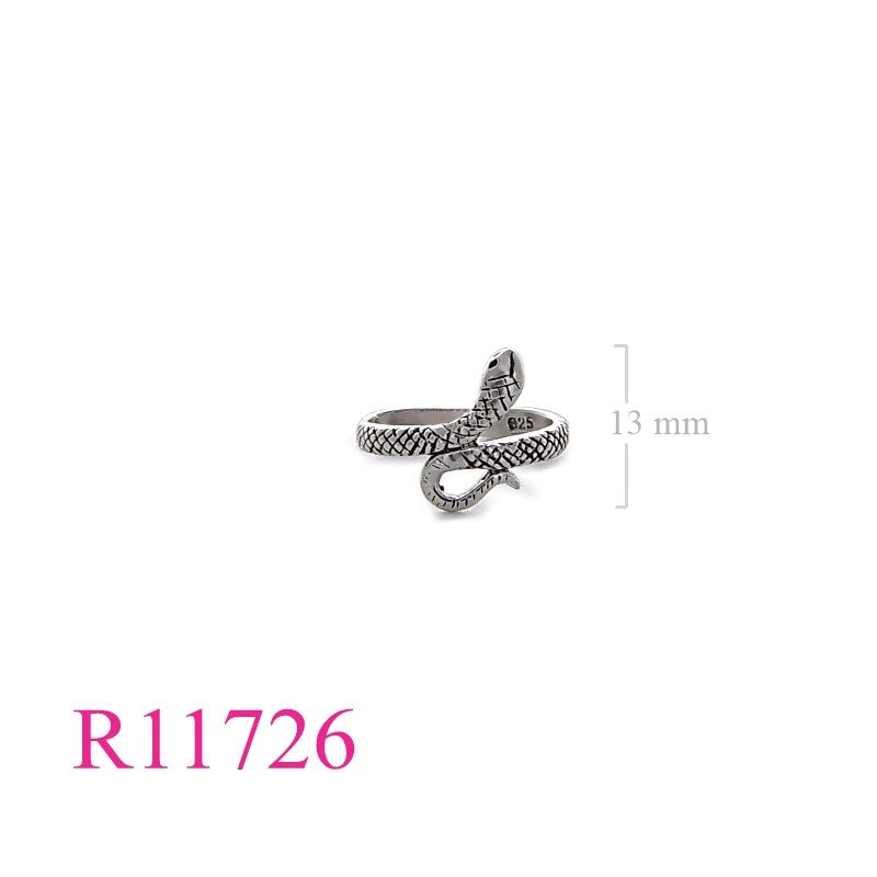 <p>Ring, snake.</p>